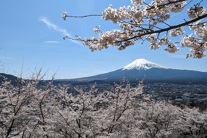 Private Car Tour to Mt. Fuji Lake Kawaguchiko or Hakone - Key things that make this tour worth your time