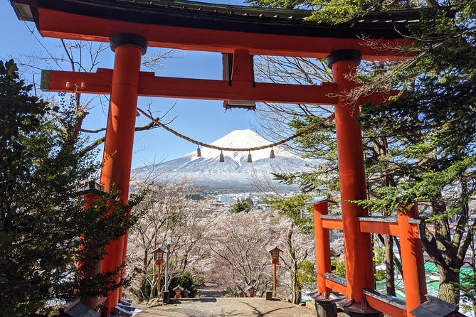 Private Car Tour to Mt. Fuji Lake Kawaguchiko or Hakone - Why a private Mt. Fuji car day beats DIY