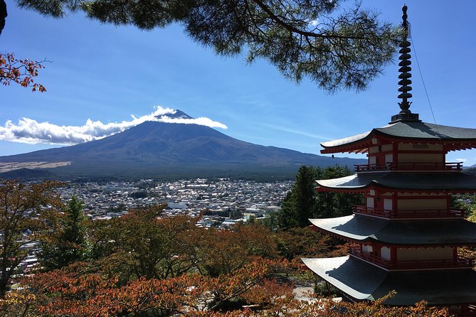 Private Car Tour to Mt. Fuji Lake Kawaguchiko or Hakone - Mt. Fuji World Heritage Center: the meaning behind the photos