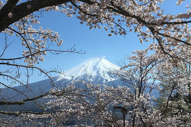 Private Car Tour to Mt. Fuji Lake Kawaguchiko or Hakone - Lake Kawaguchiko: the photo stops that match the season