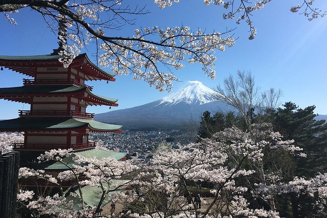 Private Car Tour to Mt. Fuji Lake Kawaguchiko or Hakone - Oishi Hana Terrace and Oishi Park: sweet breaks and seasonal flowers