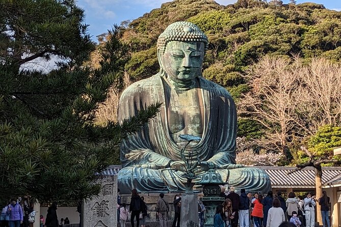 Private Car Tour to see Highlights of Kamakura, Enoshima, Yokohama from Tokyo - Price and Value: What You Pay for a Private Van, and What You Still Need to Budget