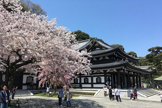 Private Car Tour to see Highlights of Kamakura, Enoshima, Yokohama from Tokyo - Zen Temples Kencho-ji and Engaku-ji, Plus Hydrangea Temple Meigetsuin