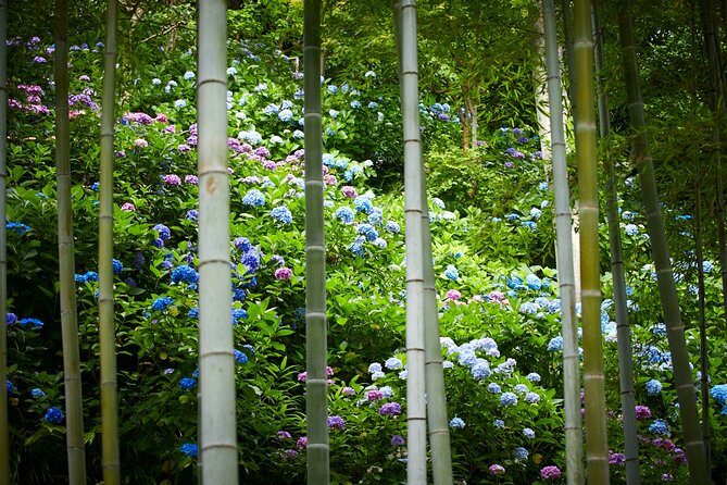 Private Car Tour to see Highlights of Kamakura, Enoshima, Yokohama from Tokyo - Kotoku-in’s Great Buddha and the Bamboo Temple Start You Off Strong