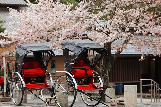 Private Custom Tour: Kyoto in One Day - Key Takeaways Before You Go