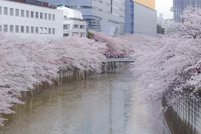 Private Custom Tour: Tokyo in a Day - Trains and subways versus a private vehicle upgrade