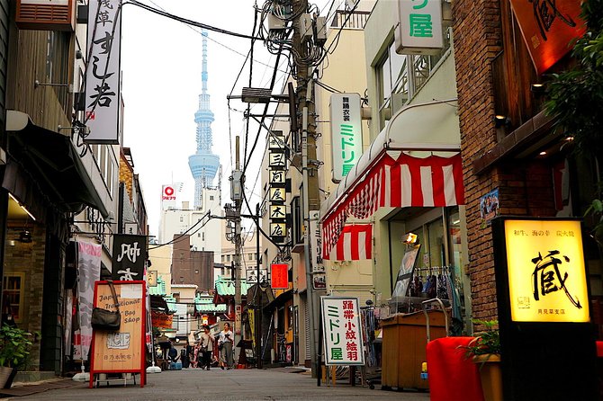 Private Customizable Walking Tour of Tokyo - Shinjuku entertainment district and the Tokyo skyline view