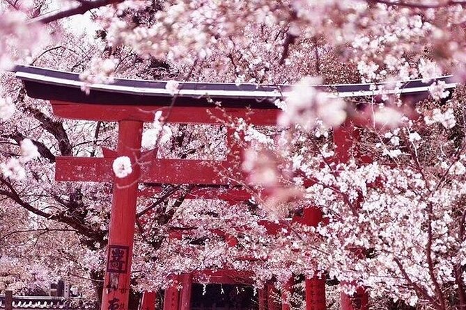 Private departure transfer from Kyoto city to Kansai International airport - Luggage limits and the small rules that can change your day