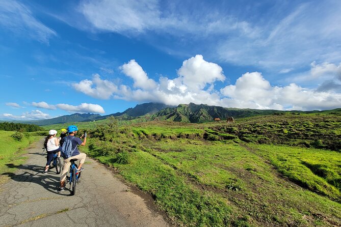 Private E-MTB guided cycling around Mt. Aso volcano & grasslands - Key things that make this tour worth your time