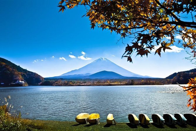 Private Fuji Hakone Tour Charter with English Speaking Driver - Hakone Jinja and Lake Ashi: The Core Views