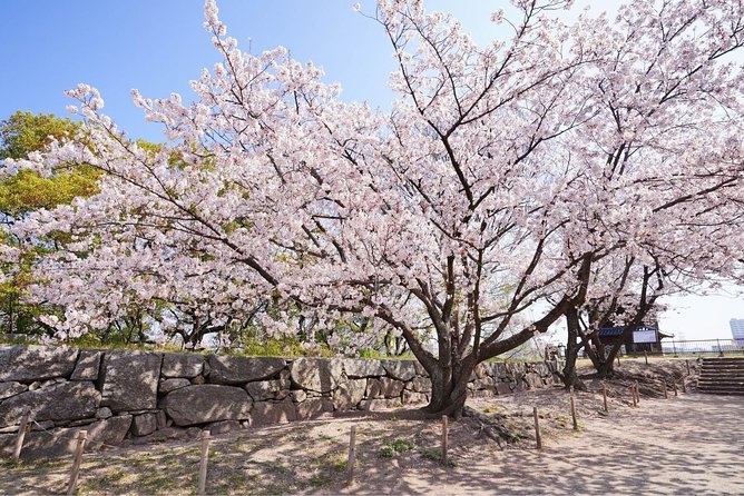 Private Fukuoka Tour with a Local, Highlights & Hidden Gems 100% Personalised - Maizuru Park and Fukuoka Castle Ruins for Story Time