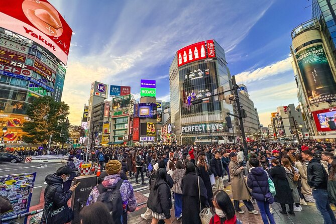 Private Full-day Tokyo Walking Subway Tour by Japan Gray Line - Key things to know before you go