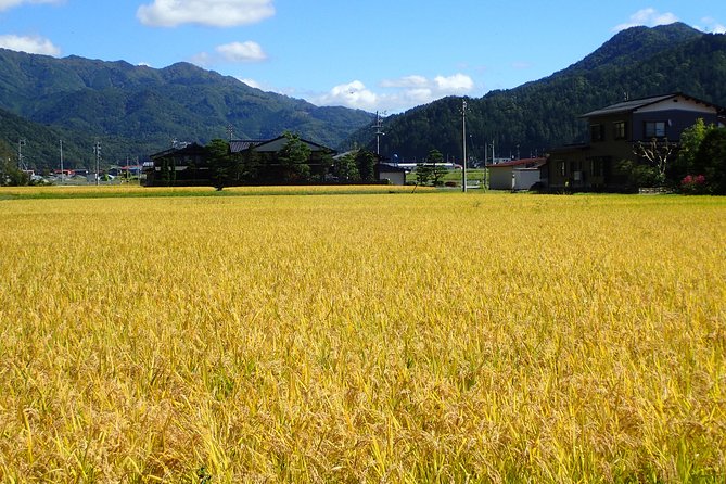 Private-group Morning Cycling Tour in Hida-Furukawa - How the guide adds history and keeps you on the right roads