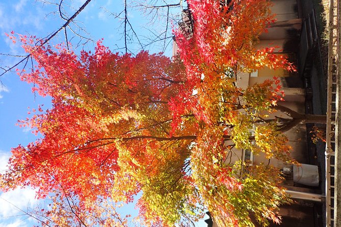 Private-group Morning Cycling Tour in Hida-Furukawa - Price of $214.48: is it worth it for a private 3.5-hour ride?
