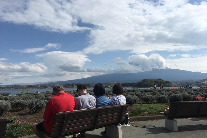 Private guided hidden gems tour by local English speaking driver - Best for families, short time in the Fuji Five Lakes, and photo-first travelers