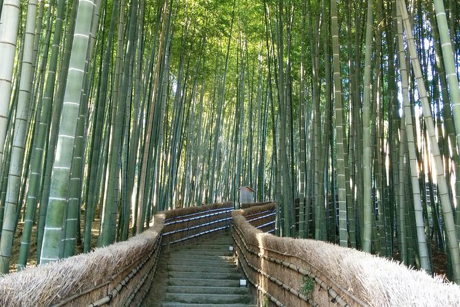 Private Highlights of Kyoto Tour - Key highlights worth planning around