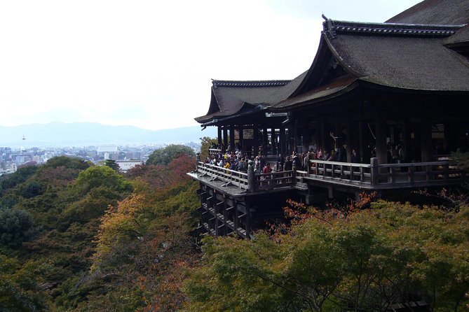 Private Highlights of Kyoto Tour - Your guide matters: what to expect from English-speaking hosts