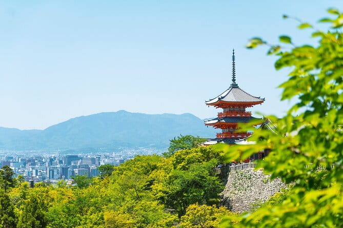 Private Kyoto Customizable Day Tour with English Speaking Driver - Arashiyama Bamboo Grove Time, Plus How to Plan Your Walks