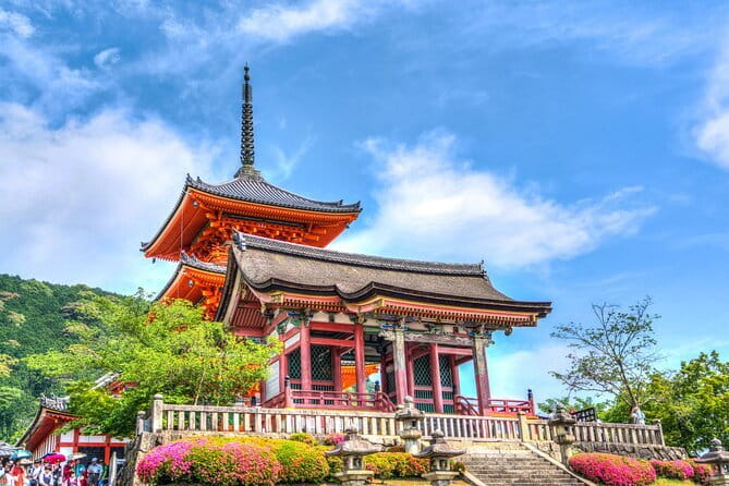 Private Kyoto Customizable Day Tour with English Speaking Driver - Nishiki Market: Kyoto’s Food Lane and Quick Shopping Stop