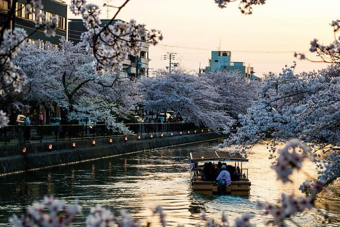 Private Kyoto Customizable Day Tour with English Speaking Driver - The Real Itinerary Flow: Arashiyama to Fushimi Inari