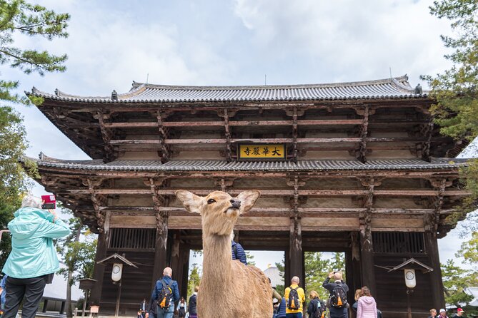 Private Kyoto Tour by Car with Optional Nara or Osaka Add-Ons - Start at Fushimi Inari Taisha, Then Build Your Day