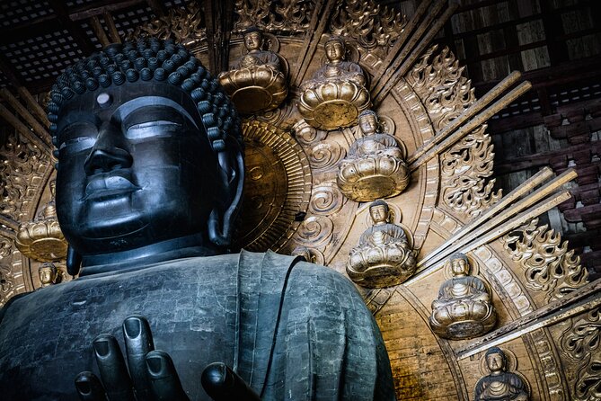 Private Kyoto Tour by Car with Optional Nara or Osaka Add-Ons - Kiyomizu-dera and Tenryu-ji: Where Kyoto Gets Poetic