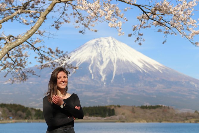 Private Mt Fuji Tour from Tokyo: Scenic BBQ and Hidden Gems - Aokigahara Forest: Quiet Green Air at the Foot of Fuji