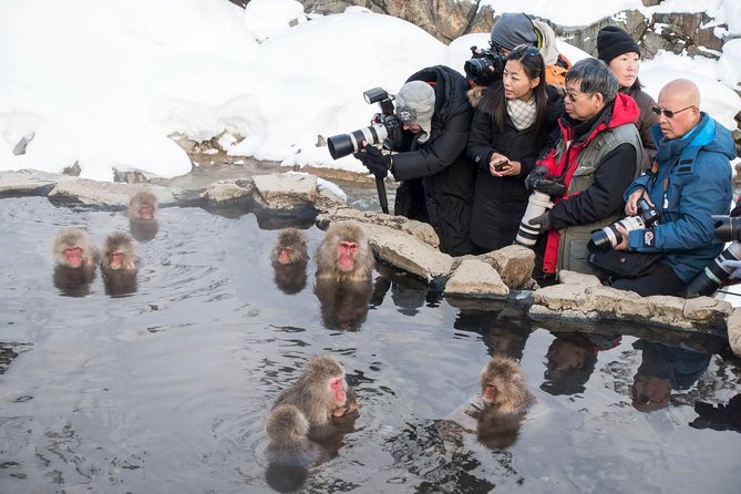 Private Nagano 1-Day Tour:Snow Monkeys,Zenko-ji,Obuse,Sake,Onsen - Hokusai Museum: A Clean Art Hit Without Overplanning