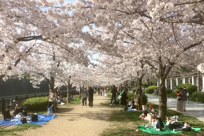 Private Osaka Tour with Hotel Meet Up - Key points to know before you go