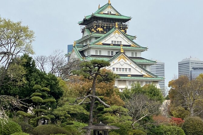 Private Osaka Tour with Hotel Meet Up - Hotel meet up, pace, and how the day actually flows