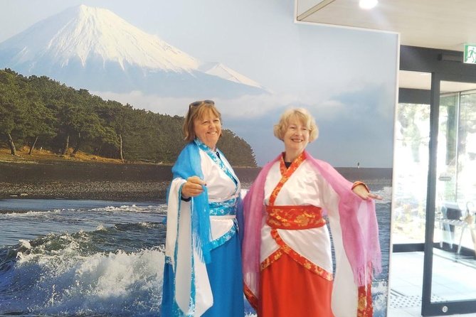 Private sightseeing tour from Shimizu Port / Van Taxi - Key things that make this tour work