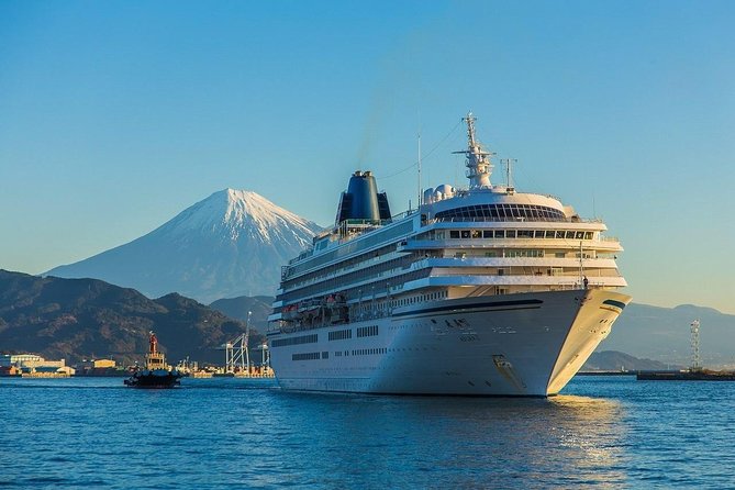 Private sightseeing tour from Shimizu Port / Van Taxi - The guides set the tone, and you feel it fast