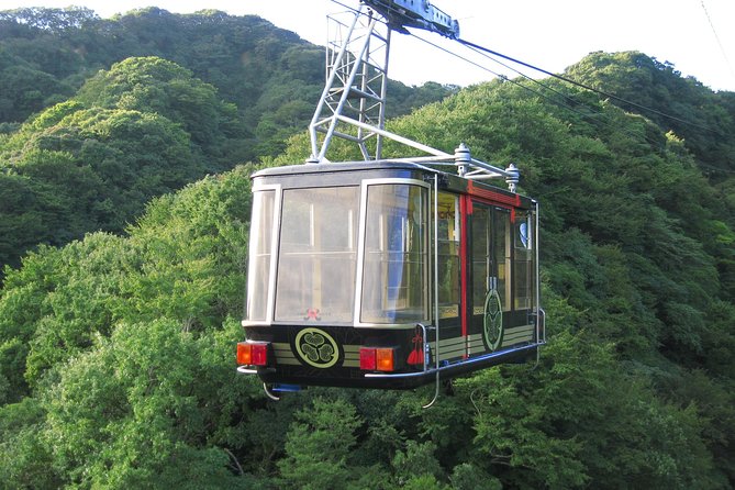 Private sightseeing tour from Shimizu Port / Van Taxi - Nihondaira Tea Fields and the 2018 Observatory: when Fuji decides to show up