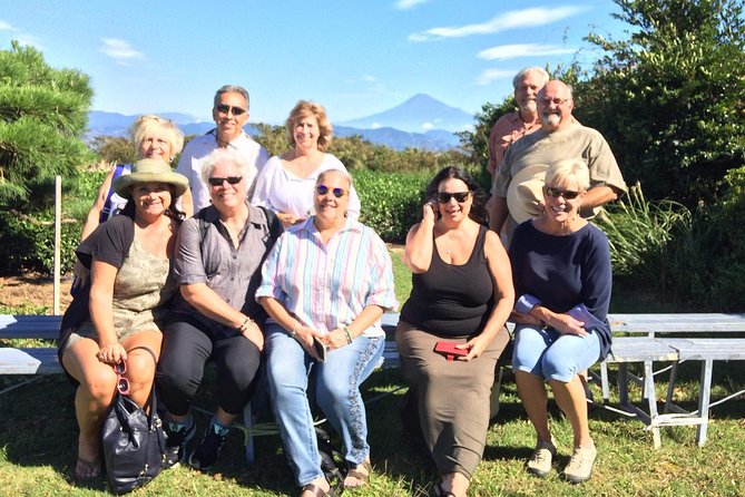 Private sightseeing tour from Shimizu Port / Van Taxi - Getting the most from your 4-hour window
