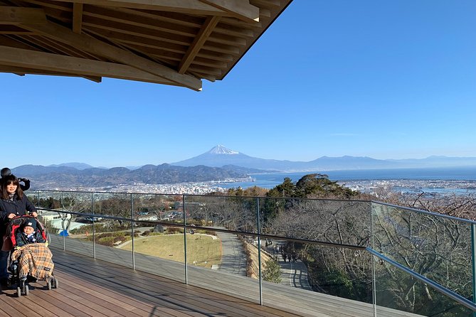 Private sightseeing tour from Shimizu Port / Van Taxi - Nihondaira Ropeway: short ride, big Suruga Bay payoff