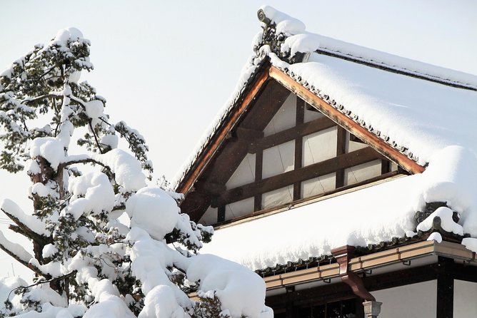 Private Tour Kanazawa, Shirakawago, Hida Furukawa,Takayama - Hida Furukawa Old Town: canal streets, Edo-era vibe, and lunch time