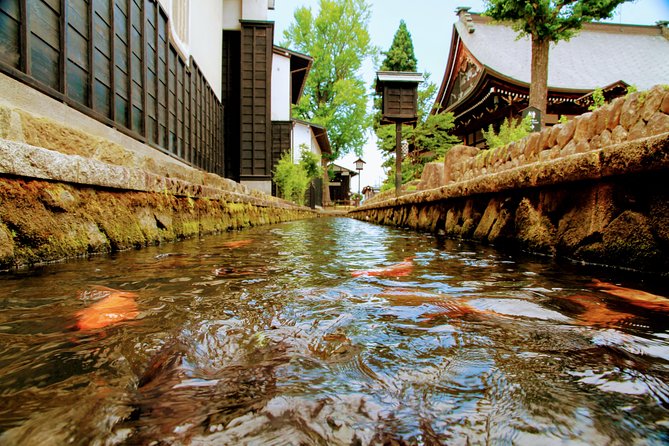 Private Tour Kanazawa, Shirakawago, Hida Furukawa,Takayama - Takayama old town: carpentry and sake culture, plus managing the crowds