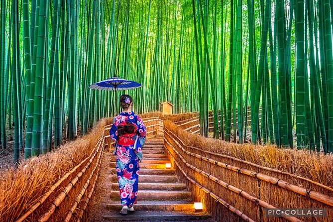 Private Tour Kyoto-Nara w/Hotel Pick Up & Drop off from Kyoto - Key moments and what makes them worth your time