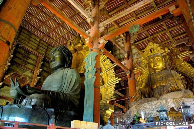 Private Tour Kyoto-Nara w/Hotel Pick Up & Drop off from Kyoto - Nara Park deer feeding: the 30-minute dose of Nara that people remember