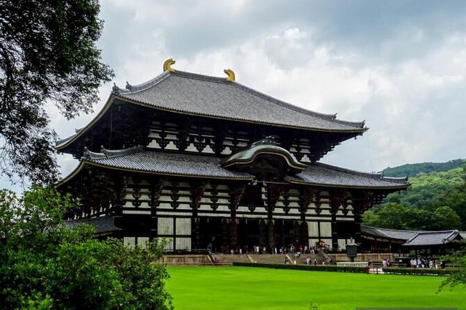 Private Tour Kyoto-Nara w/Hotel Pick Up & Drop off from Kyoto - Fushimi Inari-taisha: shrine etiquette and an easy-to-love layout
