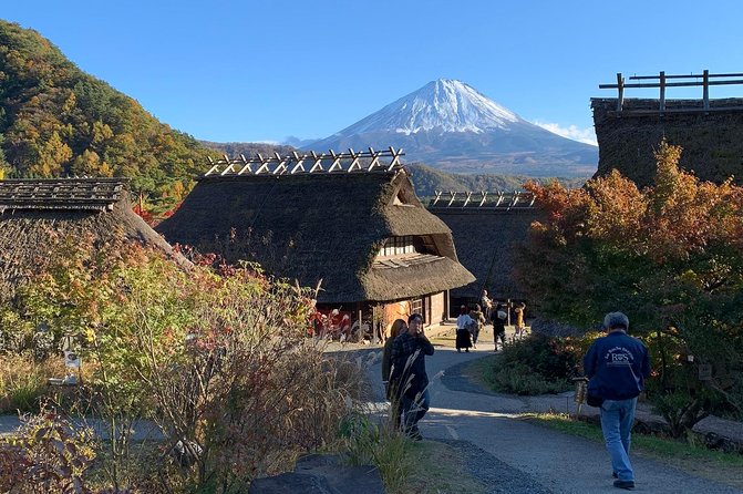 Private Tour to Mt. Fuji and Hakone (Fully Licenced Operator) - Private Car, Real Flex: Why This Fuji and Hakone Day Feels Easy