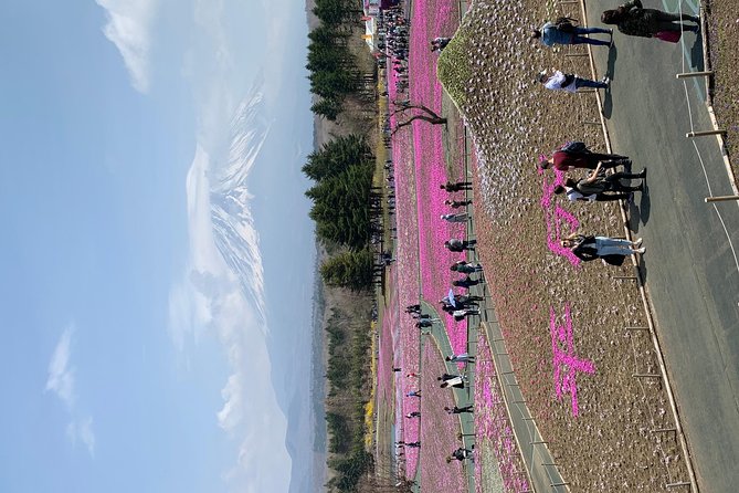 Private Tour to Mt. Fuji and Hakone (Fully Licenced Operator) - Mt. Fuji Stops: Views, Shrines, and the Arakurayama Pagoda Shot