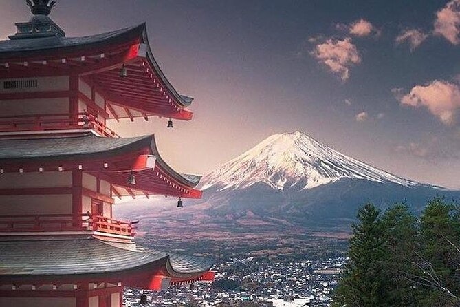 Private Tour to Mt. Fuji and Hakone (Fully Licenced Operator) - Hakone Add-On: Lake Ashi, Owakudani, and Shrine Time