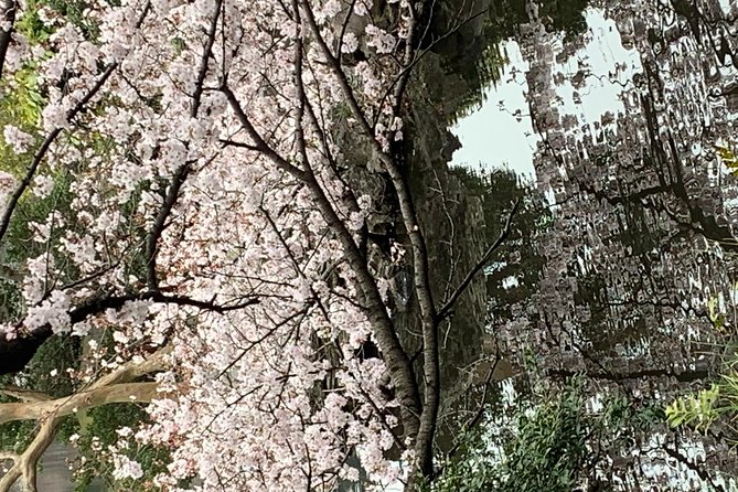 Private Tour to Mt. Fuji and Hakone (Fully Licenced Operator) - Tickets, Lunch, and the Extra Costs That Decide Your Budget