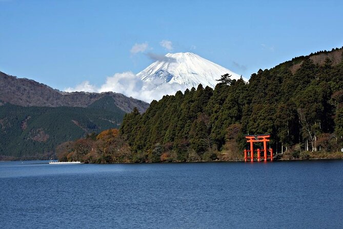 Private Tour to Mt Fuji and Hakone with English Speaking Driver - A private Mt Fuji and Hakone day that keeps your day from unraveling