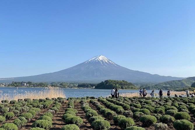 Private Tour to Mt Fuji and Hakone with English Speaking Driver - Getting picked up in Tokyo, then driving without the stress tax