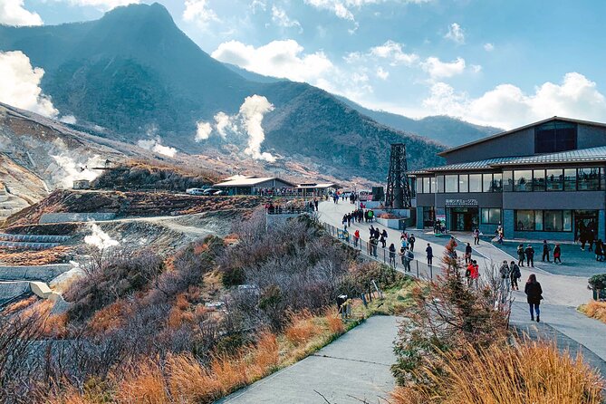 Private Tour to Mt Fuji and Hakone with English Speaking Driver - Oshino Hakkai: Fuji’s spring ponds in a calm, easy stretch of the day