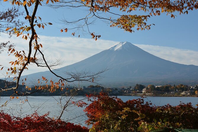 Private Tour to Mt Fuji and Hakone with English Speaking Driver - Ōwakudani and Lake Ashi: the volcanic drama and the torii photo moment