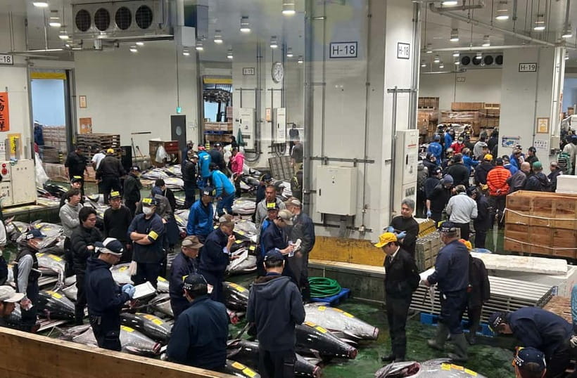Private Toyosu & Tsukiji Market Adventure with Tuna Auction - 5am Logistics: Meeting at Shijō-mae Station and Why Taxis Rule