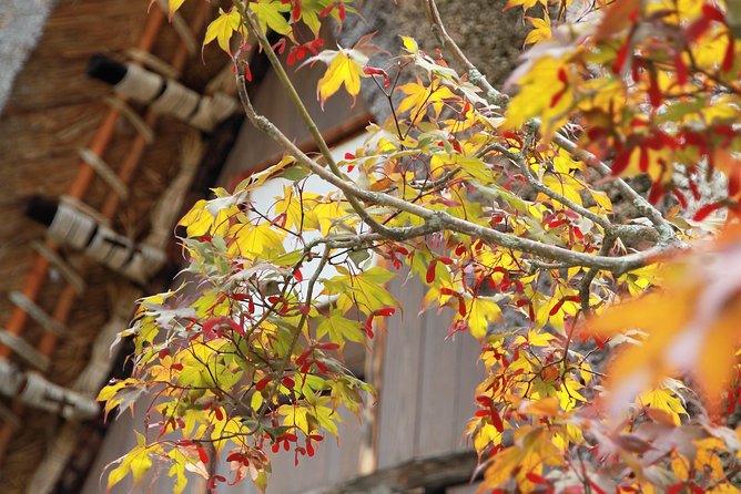 Private transfer Kanazawa to Takayama Including Shirakawago - Shirakawa-go in Two Hours: Gassho Roofs Without the Rush